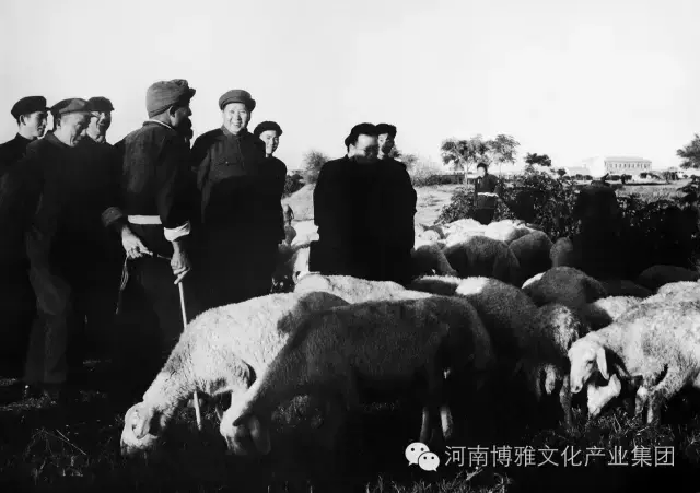 陈正人是将军吗，陈正人传ppt（毛主席在河南——纪念毛主席逝世四十周年）