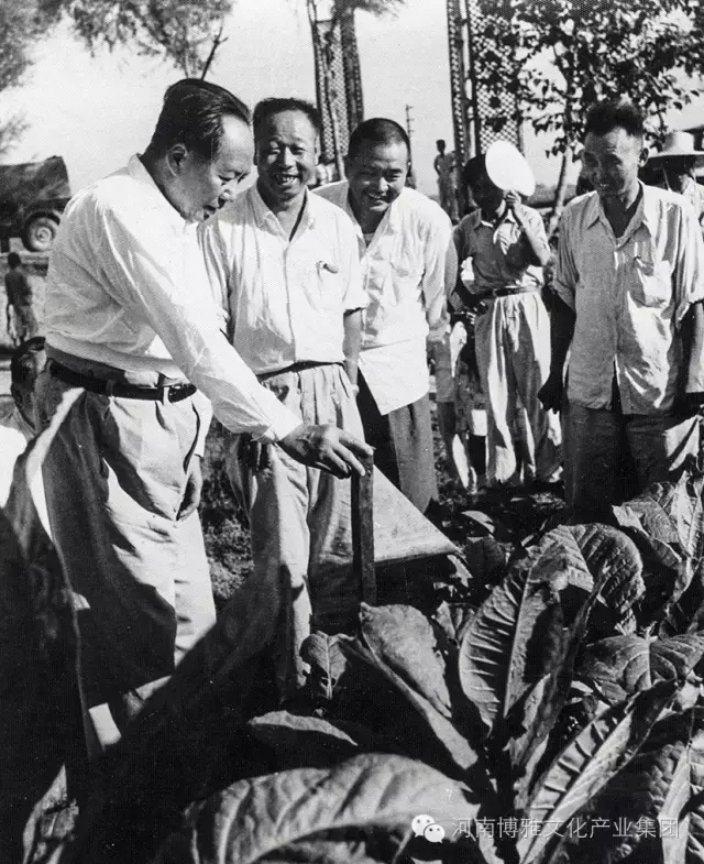 陈正人是将军吗，陈正人传ppt（毛主席在河南——纪念毛主席逝世四十周年）