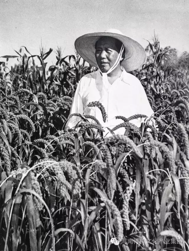 陈正人是将军吗，陈正人传ppt（毛主席在河南——纪念毛主席逝世四十周年）