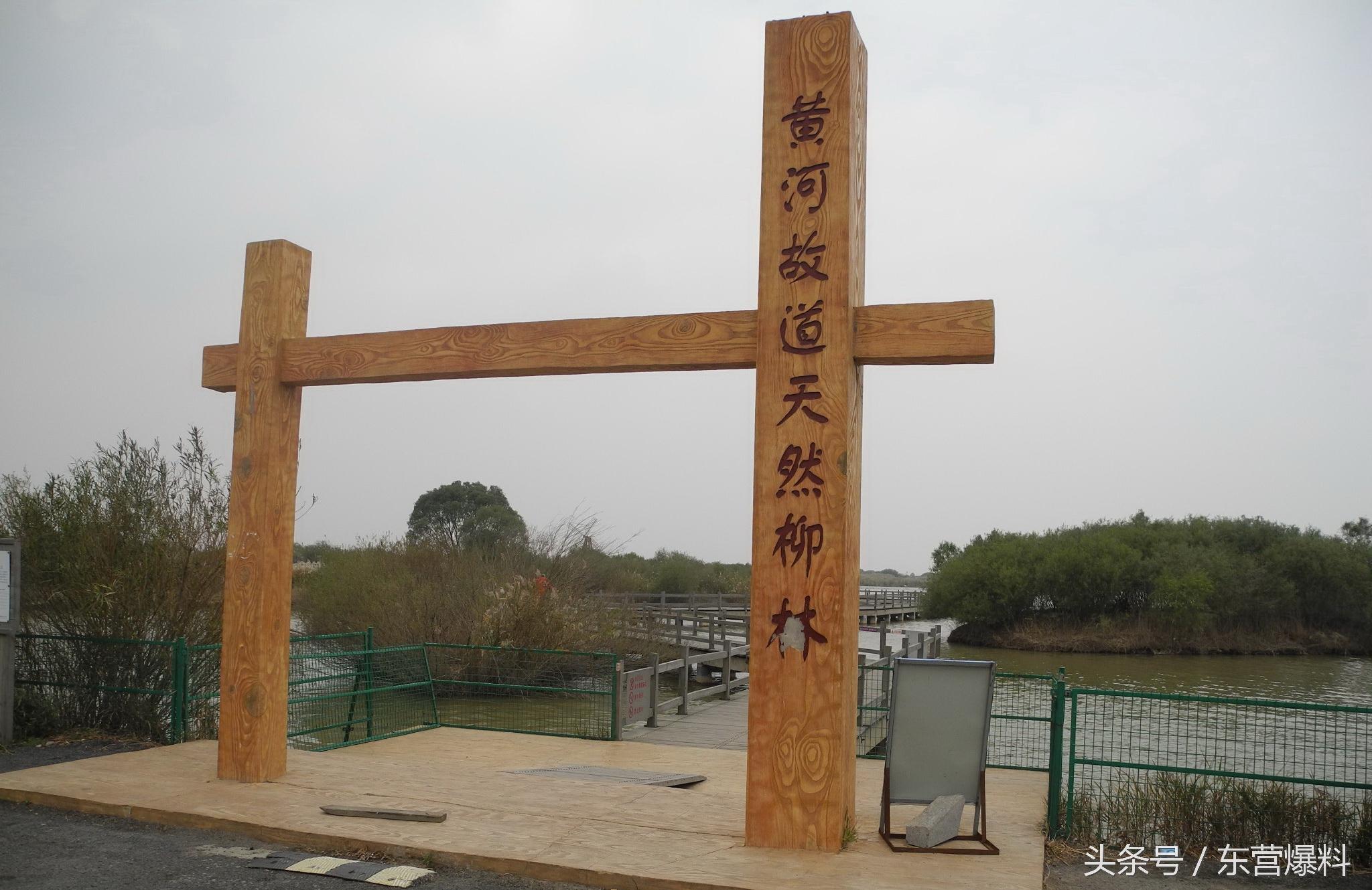 东营黄河口湿地公园一日游攻略，东营黄河口湿地公园一日游攻略图片（玩转东营之黄河口生态旅游区详细攻略）