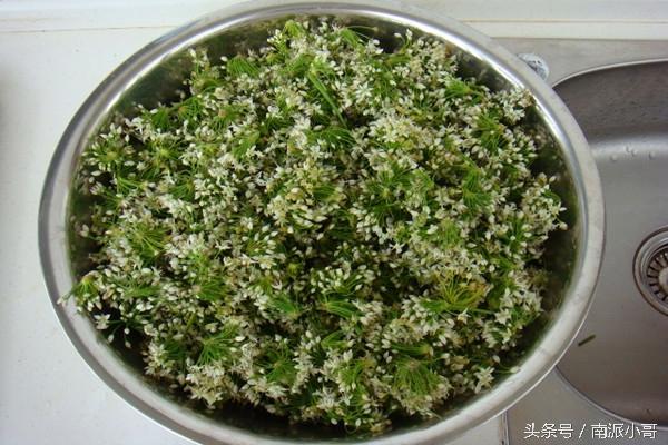 农村壮阳草哪些，农村壮阳的草药有哪些（农村秘制“壮阳草花酱”）
