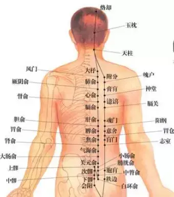 刮痧对身体有什么好处，刮痧7大好处（秋天刮刮痧 健康又长寿）