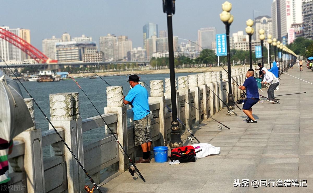 纺车轮上线(路亚纺车轮上线)