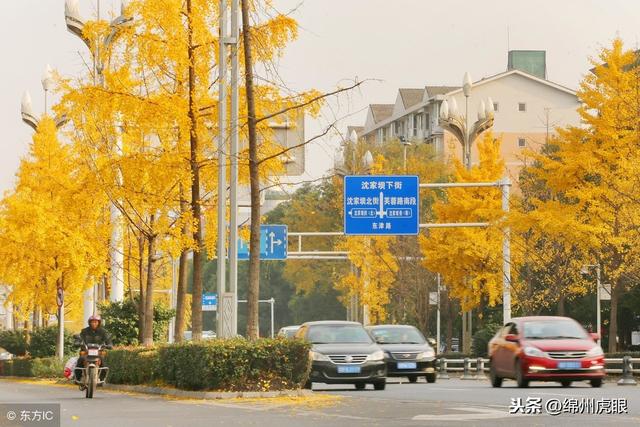 18年绵阳各区县GDP：市区涪城独大，园区高新独大，县级江油独大