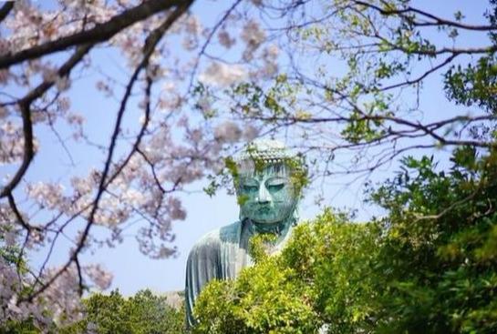 镰仓在日本哪里，日本旅游不能错过的十个历史小镇（镰仓——你不可错过的游玩景点）