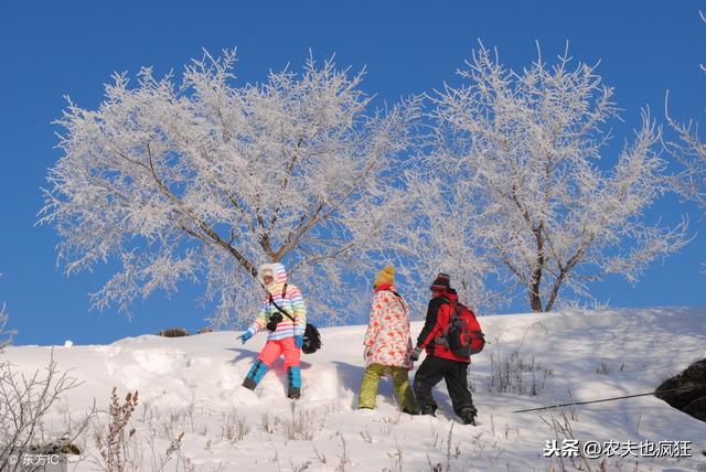 大寒是什么意思啊，大寒是什么意思啊节气（今年大寒节气是哪一天）