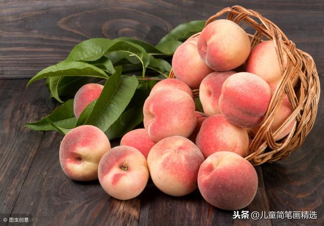 桃树简笔画怎么画，桃树简笔画画法（<Peach>的绘画步骤）