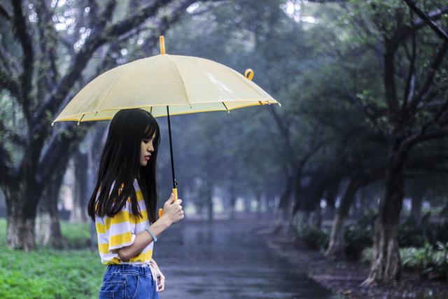 老地方的雨歌词，老地方的雨原唱（诗歌：老地方的雨）