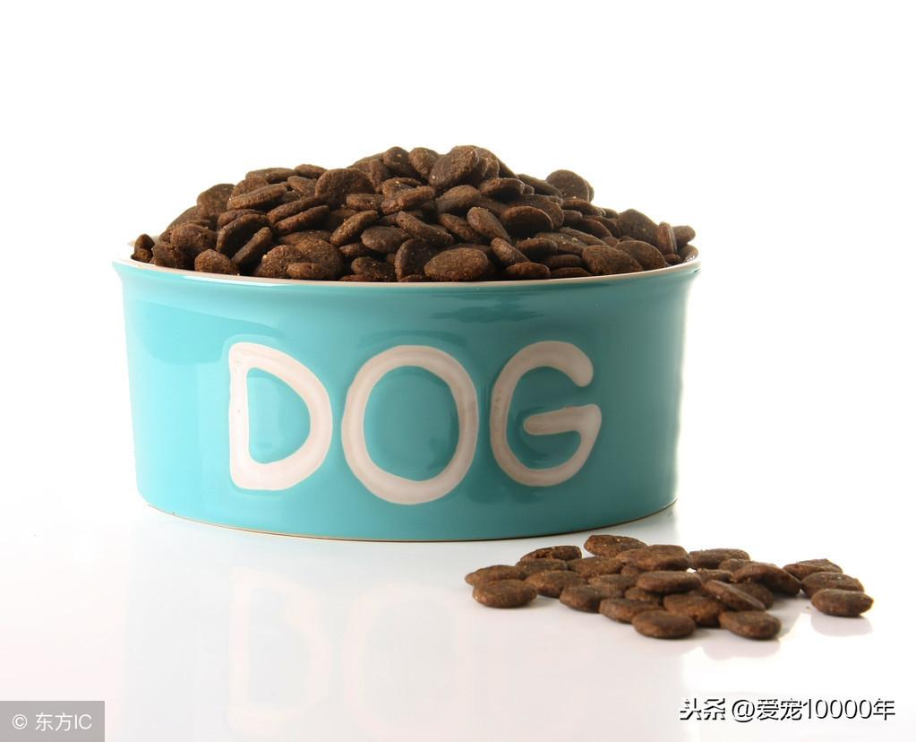 罗威纳犬幼犬(纯种罗威纳犬)