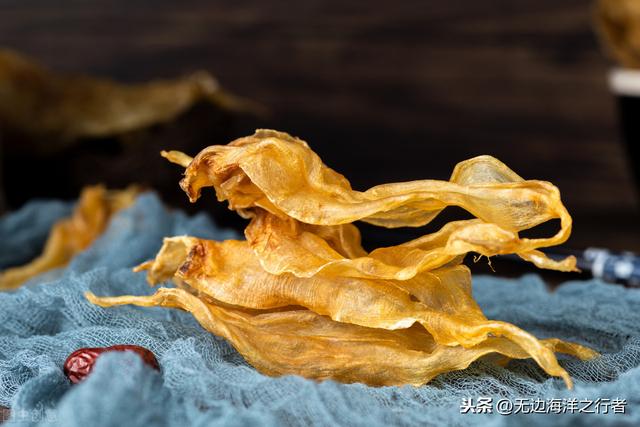 花胶泡发多久最好，花胶要泡多久（鱼胶需要泡多久、鱼胶需要泡发吗）