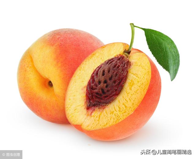 桃树简笔画怎么画，桃树简笔画画法（<Peach>的绘画步骤）