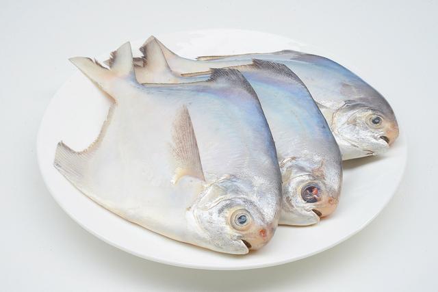 白鲳鱼多少钱一斤,淡水白鲳为什么那么便宜(学会区分这两种)