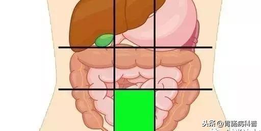 肚子痛到底是哪里痛？一张图了解腹部器官