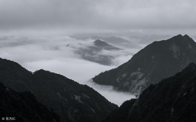 踊跃的意思是什么，部编版中招语文课内字词汇总⑨