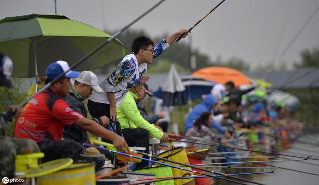 深度解析黑坑钓鱼技术，黑坑选择钓位的高级技巧