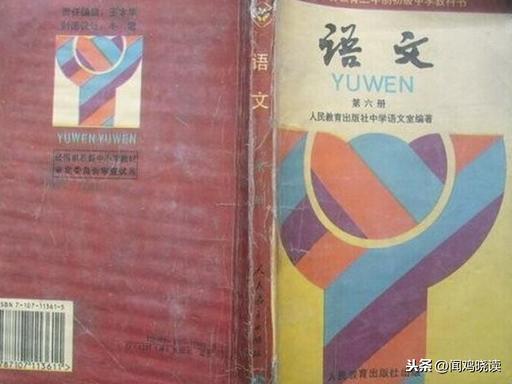 都德《最后一课》读后感500字，最后一课读后感400字都德（九十年代初中语文课本里面的回忆满满）