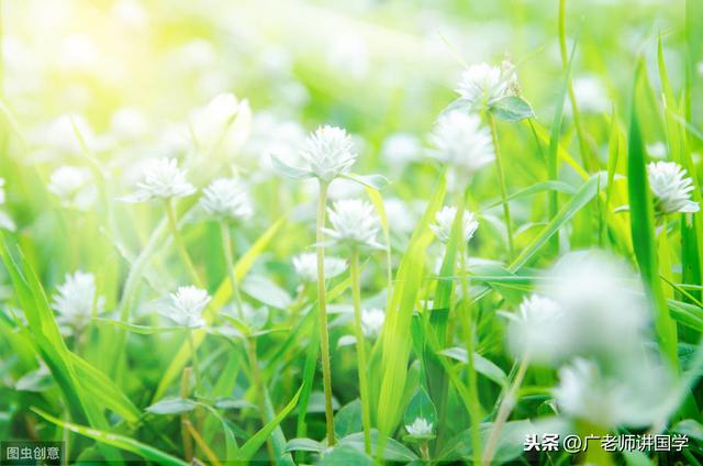 萌芽的意思，才理解什么是“芳草萋萋”、什么是“群英荟萃”