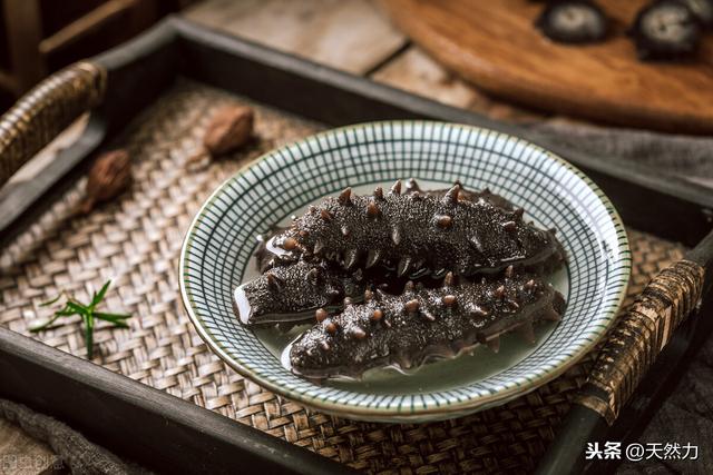 海鲜有哪些品种，常吃的海鲜有几种品种（活鲜和冰鲜又是什么意思）