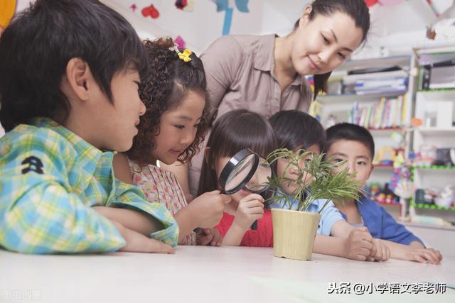 鹦怎么组词，鹦组词（鹦怎么组词（三年级语文上册《搭船的鸟》课文详解）