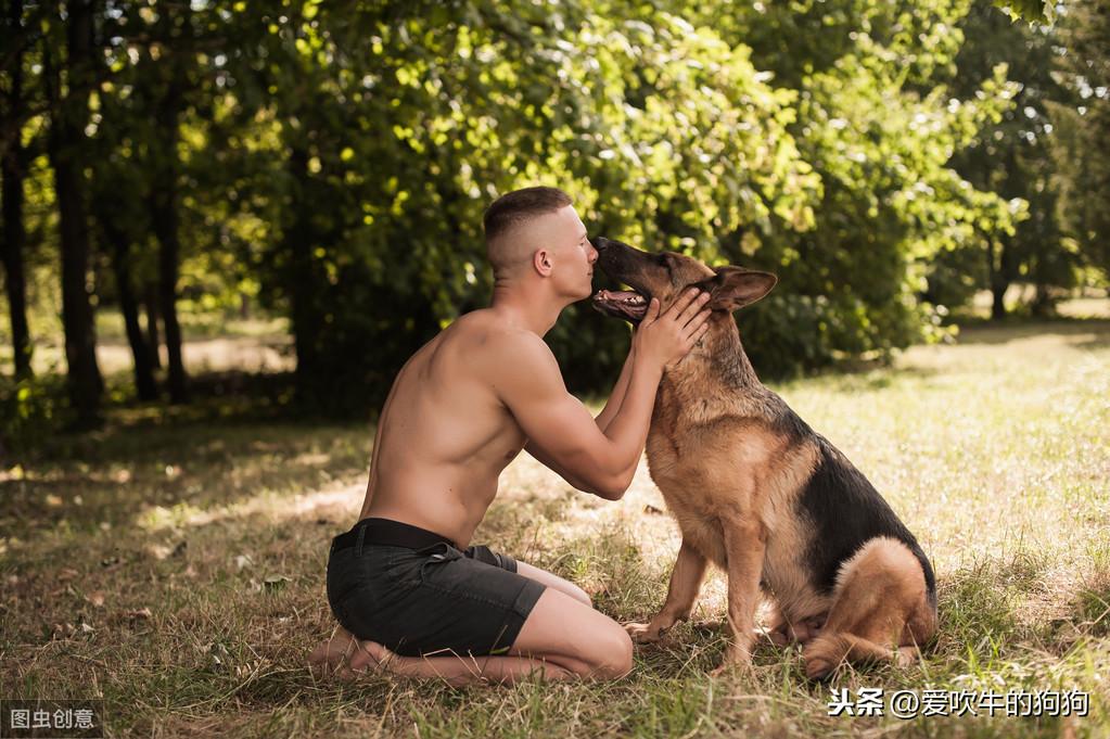 德国牧羊犬幼犬的饲养方法，牧羊犬怎么喂