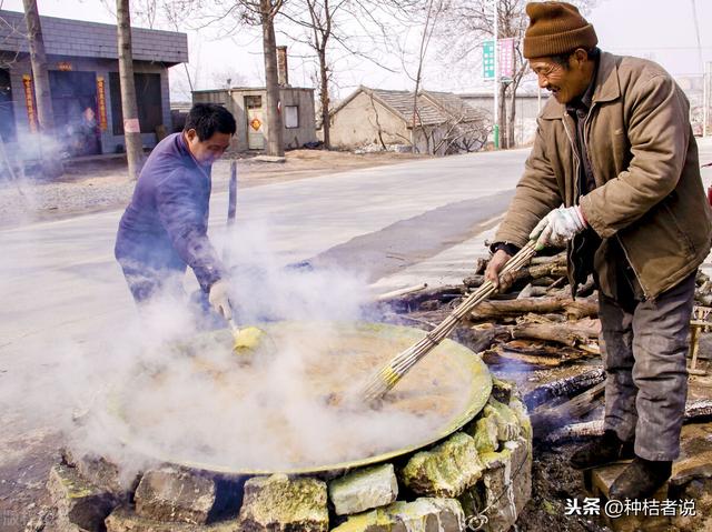 石硫合剂的作用，石硫合剂的使用方法及功效（老果农才知道的宝藏用法）