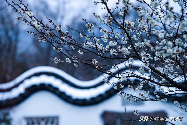 2,诗歌鉴赏:孙道绚 的《清平乐 雪,让孩子读一读,学习!