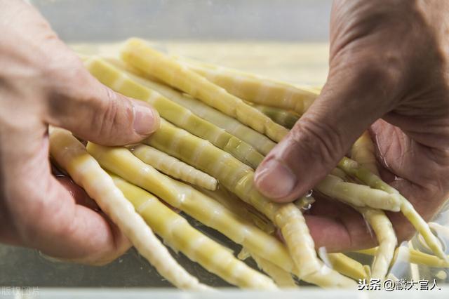 春笋和冬笋哪个好吃，春笋和冬笋哪个好吃一点（营养差别很大，学会别再乱买了）