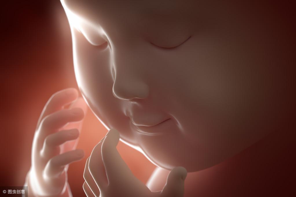 七个月的胎儿图(怀孕7个月去做彩超检查) 