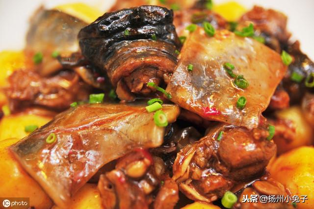 霸王鳖鸡的做法,土鳖鸡怎么做(两种蛋话说甲鱼和乌龟的同与不同)