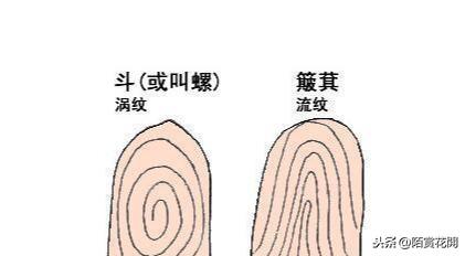 手指十个簸箕的男人，男人十个手指头都是（农村老俗话说“十指簸萁没有斗）