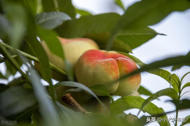 西王母远古文化，揭秘西王母是如何撩汉的