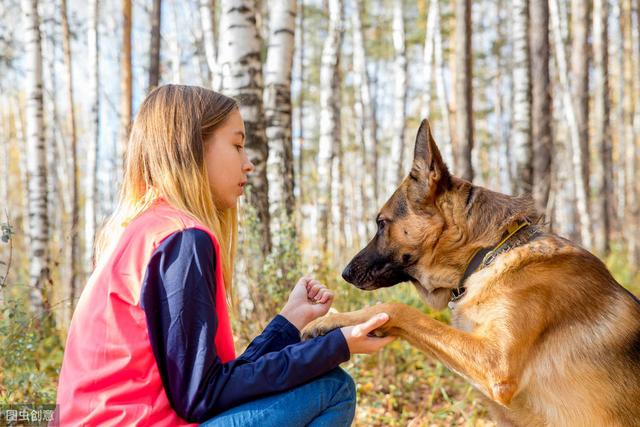 恶霸犬的六种特征，这5种狗看起来是猛汉