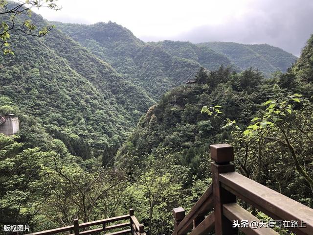 沁园春长沙朗诵原版，沁园春长沙诗朗诵（《沁园春·长沙》《忆秦娥·娄山关》朗诵）