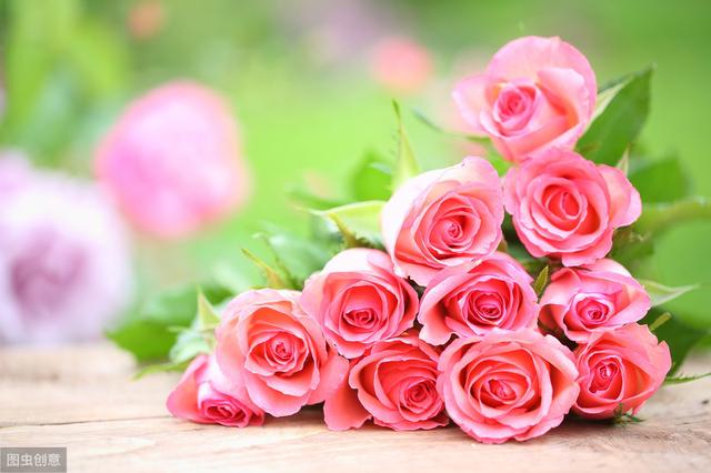 玫瑰花的含义和代表什么意思，玫瑰花代表着什么意义是什么（不同的颜色花寓意可能不同）