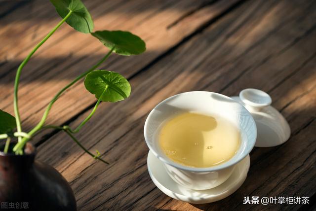 铁观音的冲泡方法，铁观音茶属于什么茶类（铁观音的独特魅力你了解多少呢）