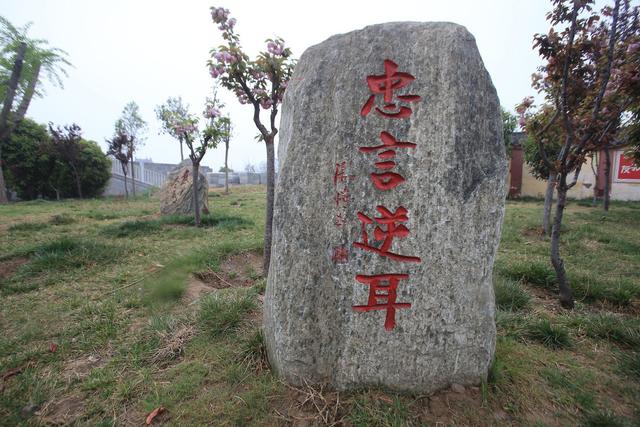 夸夸是什么意思，夸夸其谈的夸夸是什么意思（小学生必须熟悉的95个成语）