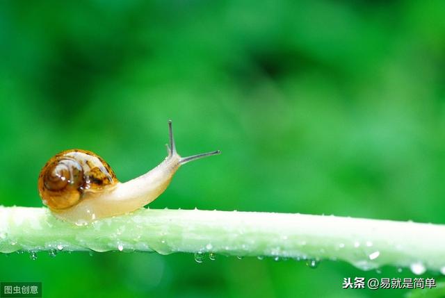 轻熟女必看的全方位护眼心经，轻松掌握八卦中最亮丽的一卦