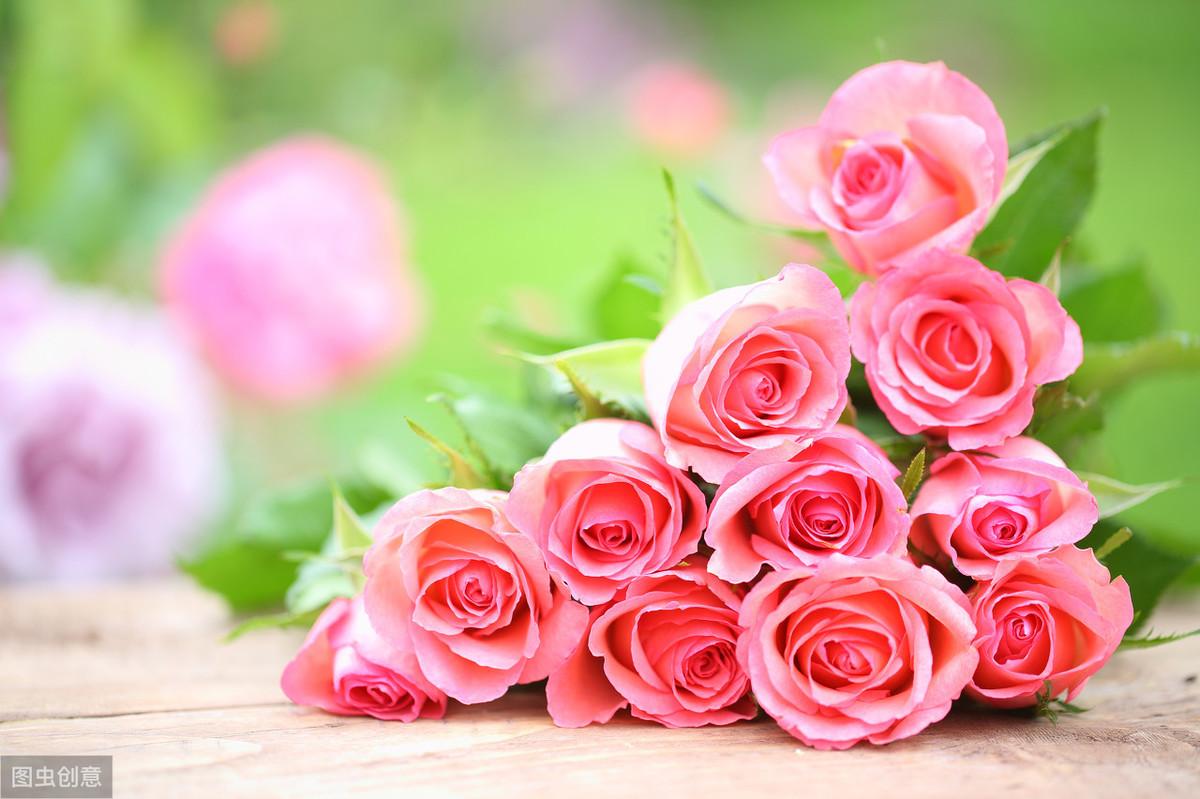 六朵玫瑰代表什么意义寓意，男人送6朵玫瑰的用意