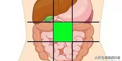 肚子痛到底是哪里痛？一张图了解腹部器官
