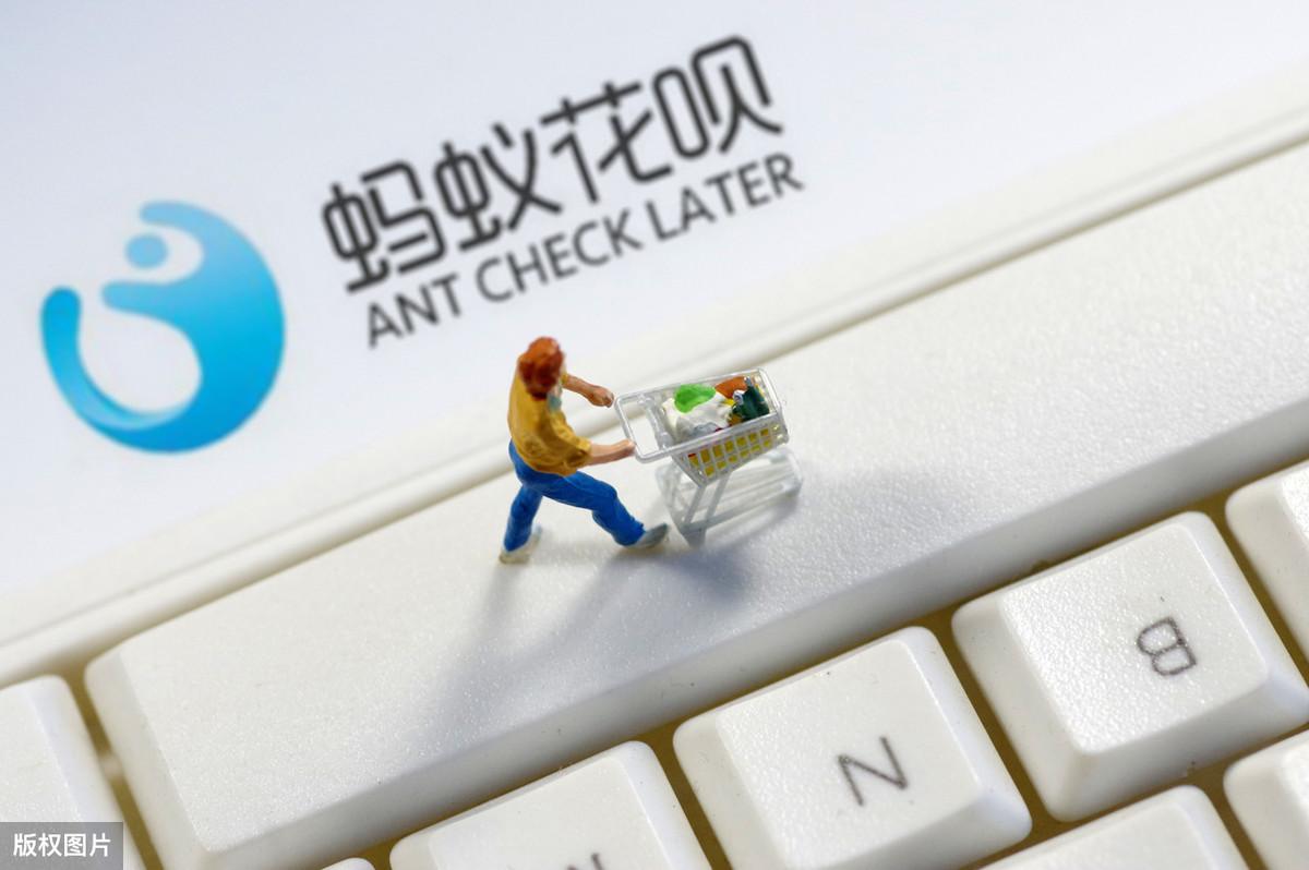 花呗要利息吗(花呗借10000元利息多少)