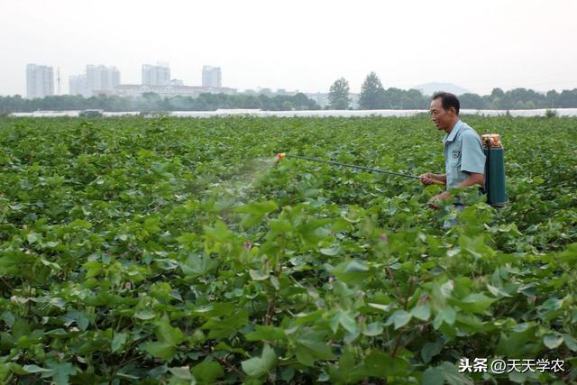 浓盐酸的摩尔浓度，浓盐酸的浓度（看完这篇文章，不用再问人）