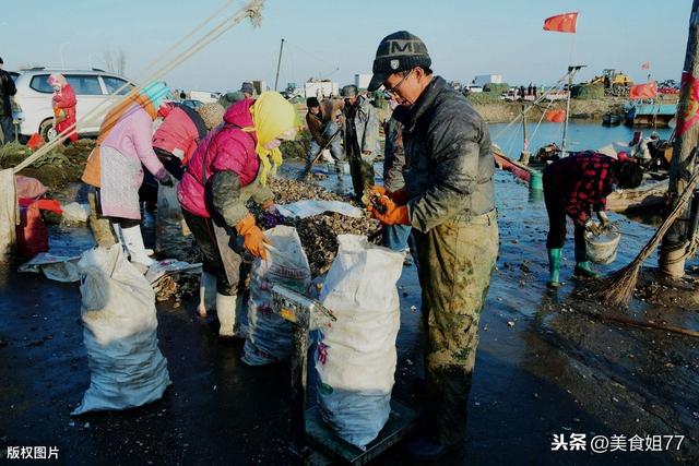 海蛎子和生蚝一样吗，生蚝和海蛎子是一样的吗（教你这样区分）