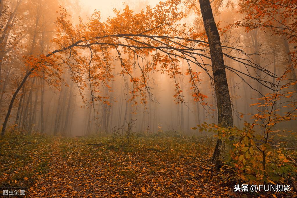丁达尔光线(丁达尔效应高级句子)