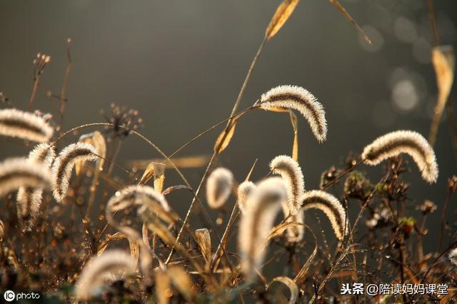 欺负的反义词是什么，欺负的反义词是什么词（小学1-6年级语文近义词/反义词汇总）