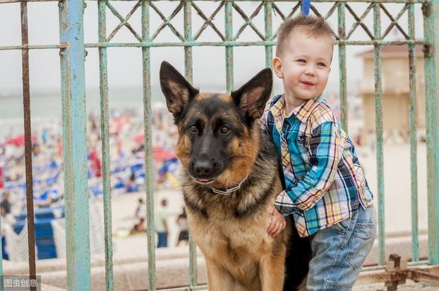 最干净最好养的小型犬，养狗的人容易得15种病（这8种狗省心又好养）