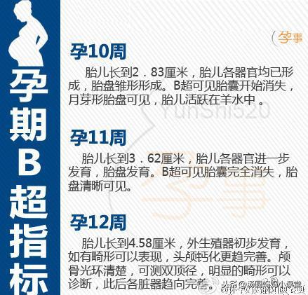 孕期胖多少斤正常对照表，孕期体重增长参照表图（孕期B超指标“对照表”）