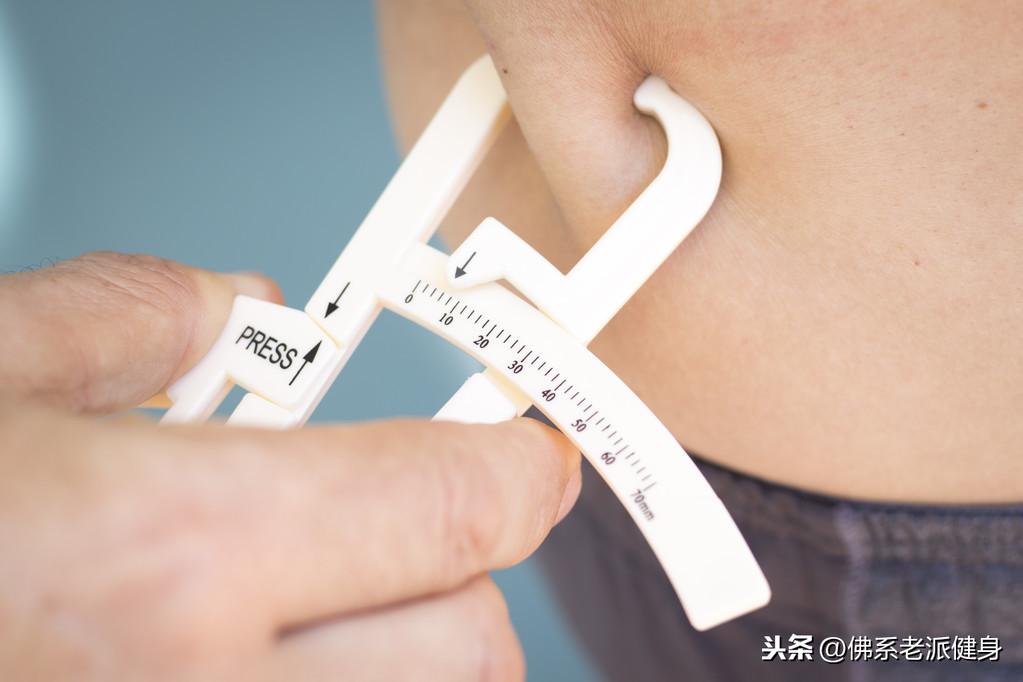 如何测体脂率(测量体重体脂的软件)