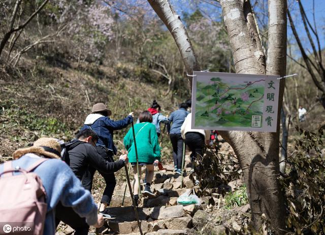 爬山对女人子宫的好处，爬山有这些好处（孕期3个地方很适合孕妇）