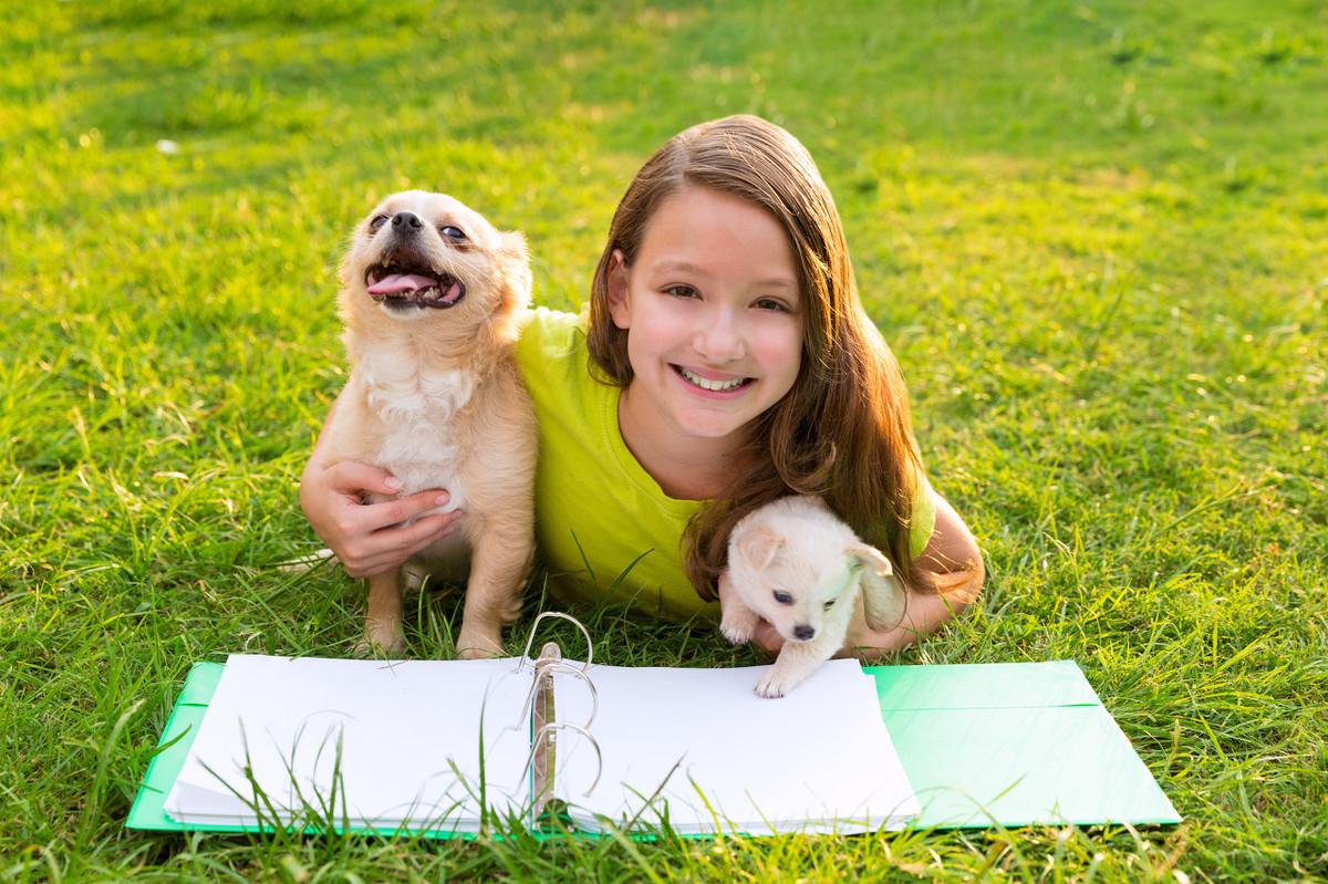 犬儒不友好？这样搞定你的宠物（解析如何让你的狗狗喜欢上你）