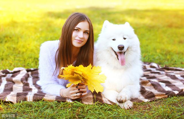 怎样看出幼犬认主人了，狗狗喜欢主人的表现（狗狗认定你是主人的9个表现）